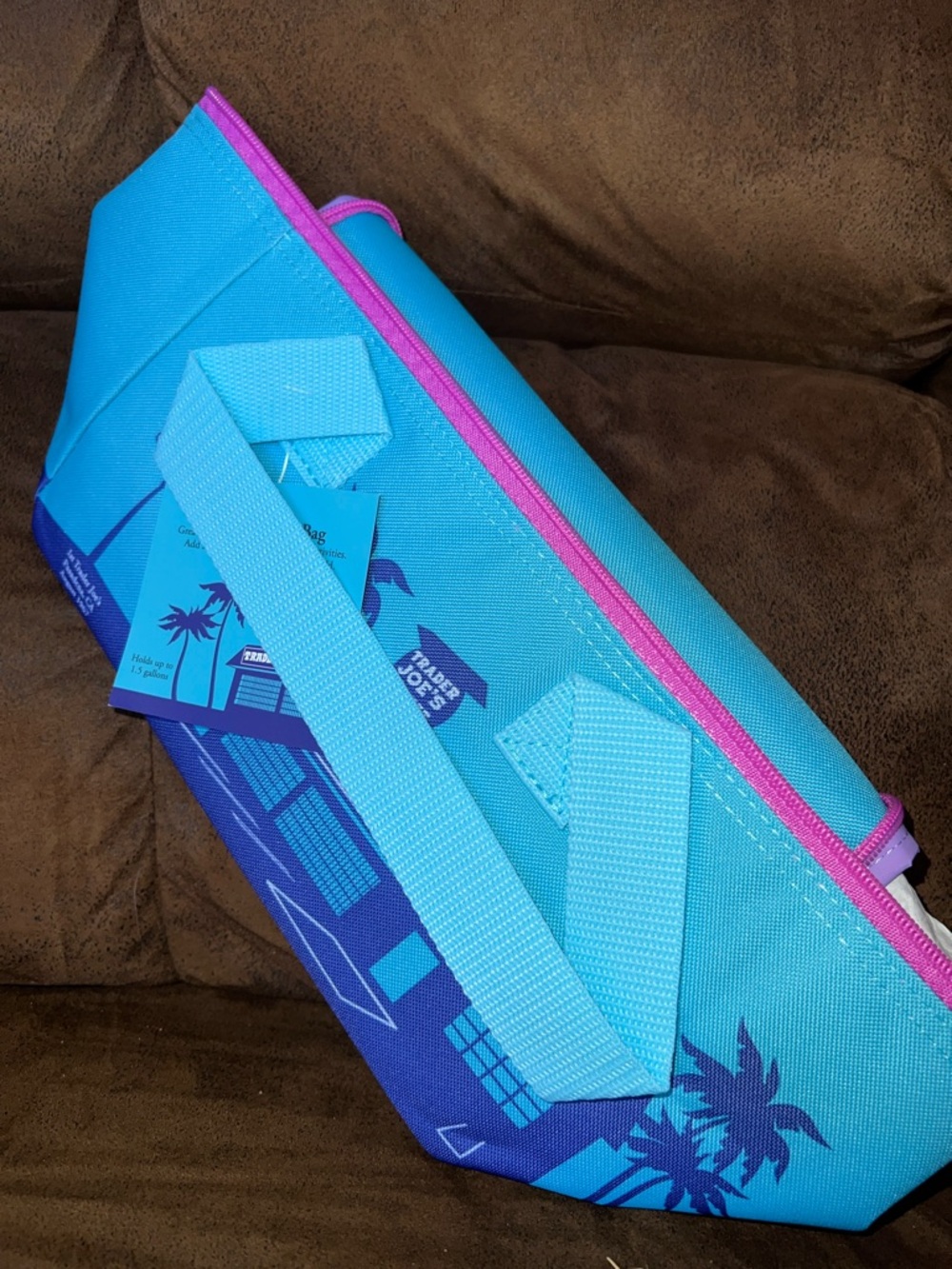 Trader Joe's Blue and Pink Insulated Tote Bag